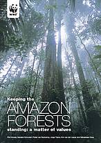 Keeping_the_amazon_forests_standing_217761