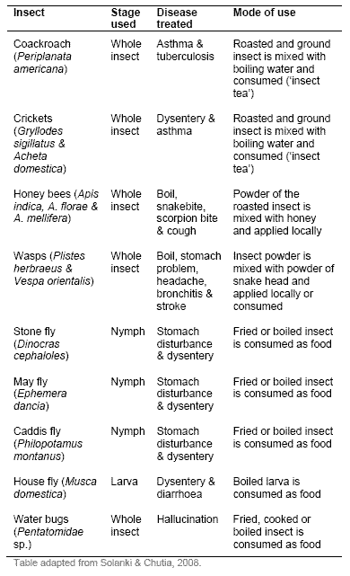 Entomotherapy insects