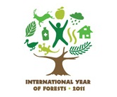 UN forest logo2