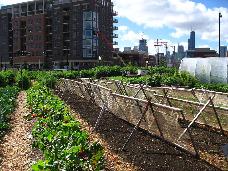 UrbanAgriculture