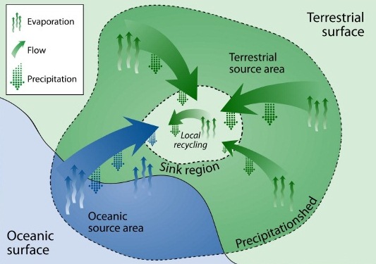 Precipitationsheds