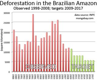 Falling Deforestation Rates In The Brazilian Amazon Cabi Blog