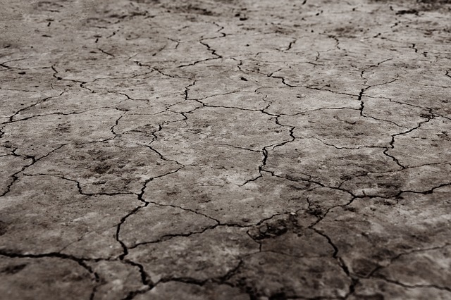 Dry_cracked_earth