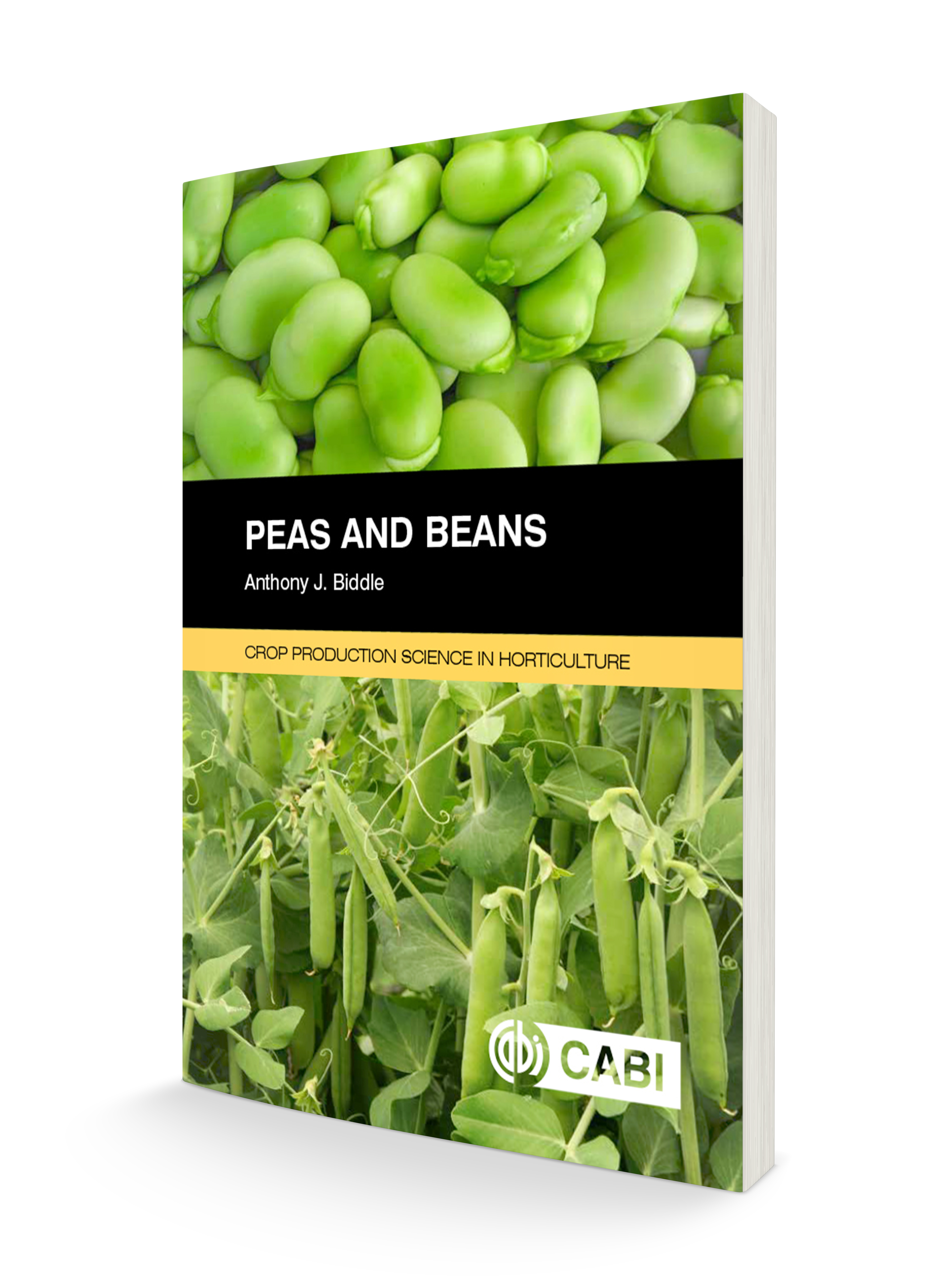 peas and beans.jpg