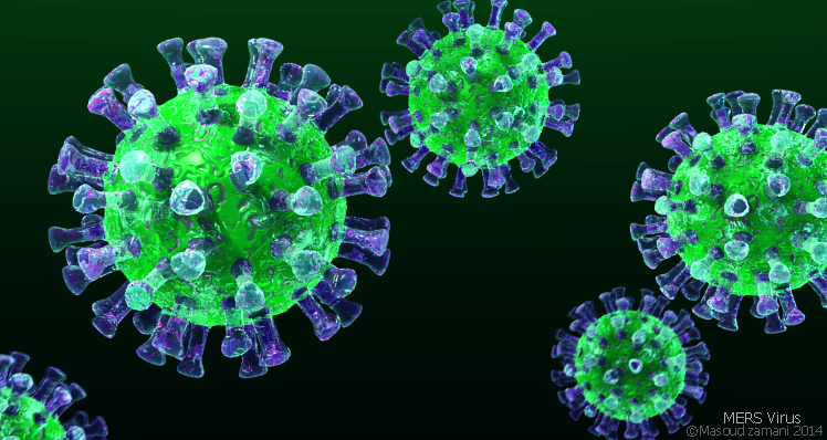 Mers-virus-3D-imageFULL