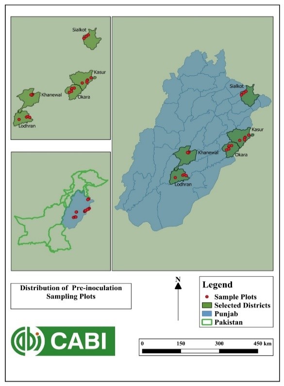 Alfatoxin graphic