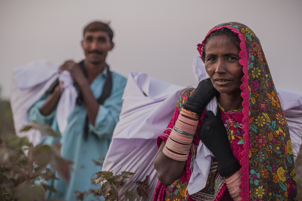 Sorjo left and Amarti right carry raw cotton bags after picking at the Farm Naimatullah Laghari, Sinjhoro, Sanghar, Sindh, Pakistan.