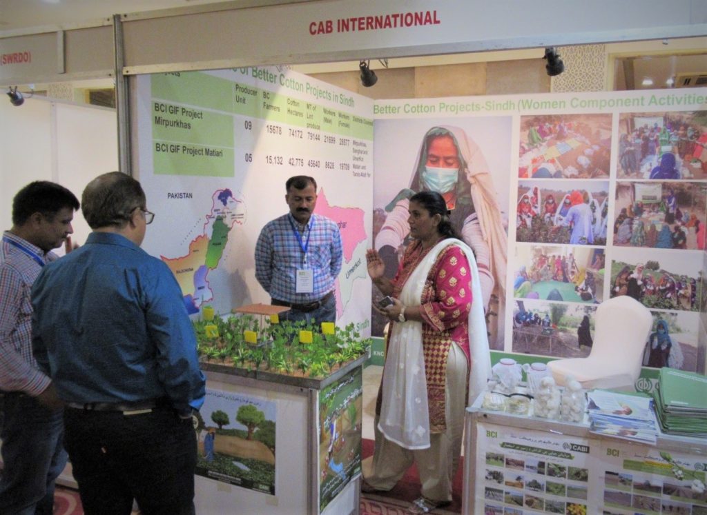 Cotton farmer Safina Gill