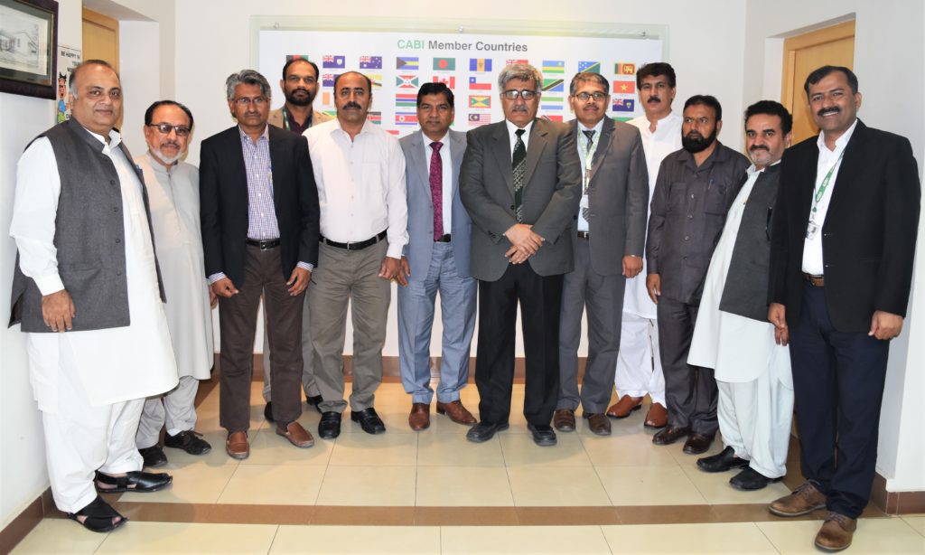 CABI launches CAPAS project in Pakistan 