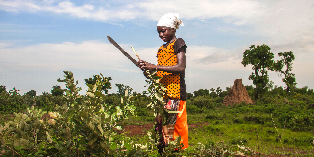 A farmer in Africa 