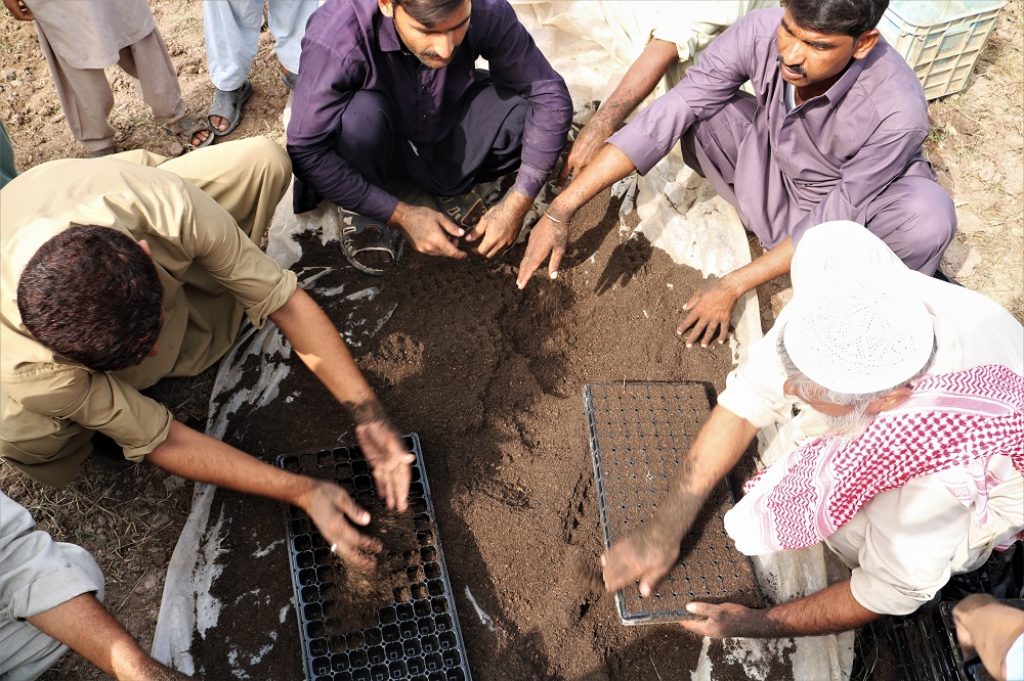 Farmers in Pakistan