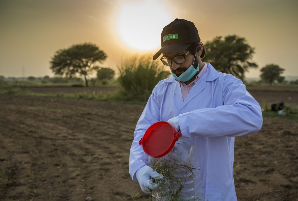 Plant doctor in action