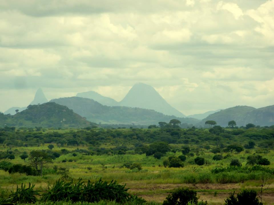 Mozambique landscape