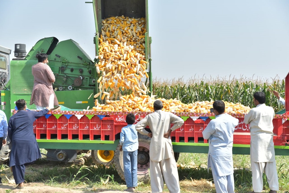 Cob picker Pakistan