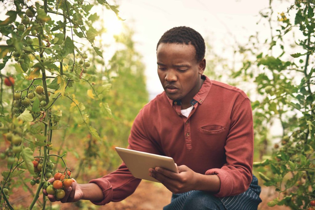 Cropped shot of a handsome young male farmer using a tablet while checking his crops