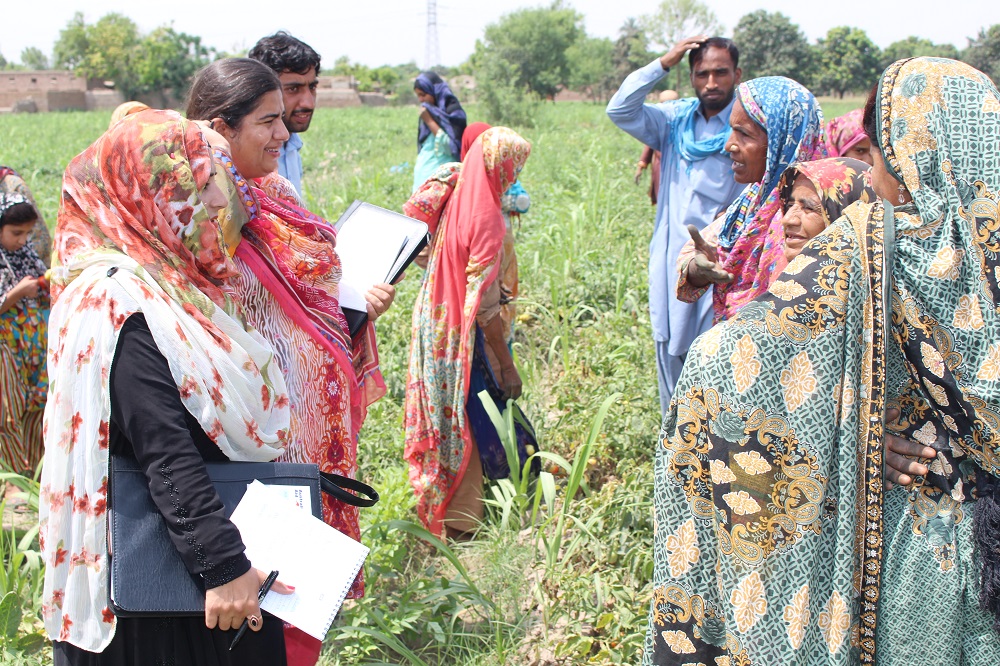 Project team members visiting farming community in Muzaffargarh to know the knowledge and skills of vegetable farmers.