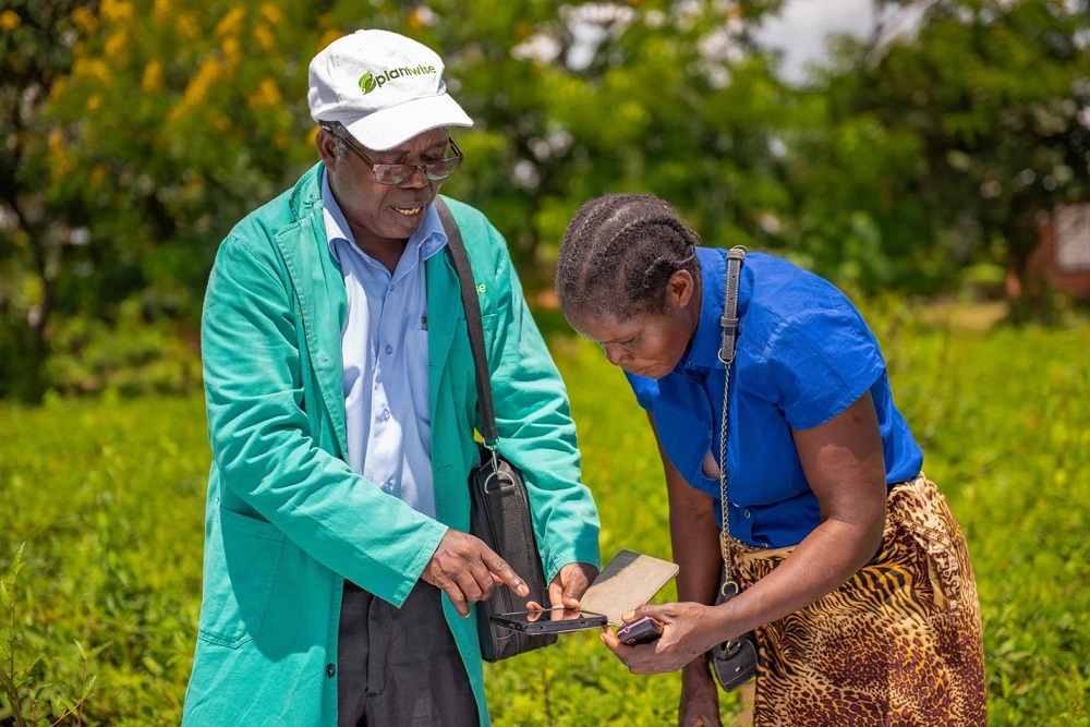 Plant-docto-in-Malawi