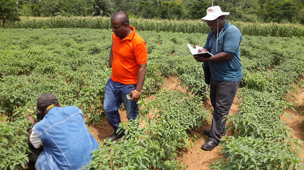 Field-Inspection-2