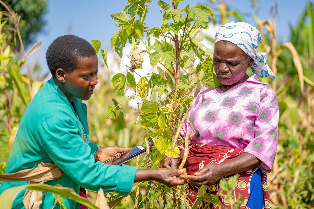 Two women assess a plant in a field, supported by a digital advisory tool.