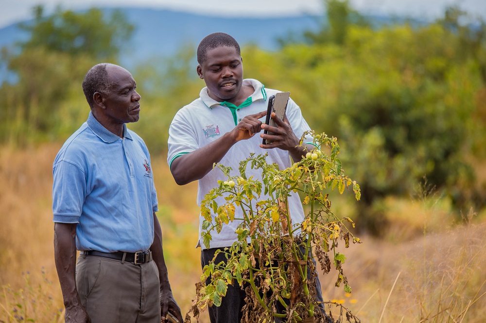 "Chinyunyu Plant Clinic in Rufunsa district, Zambia."