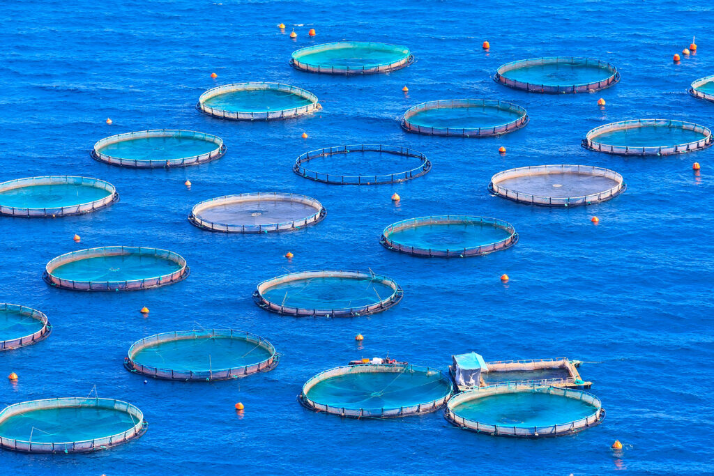 ish farm with floating cages in Greece