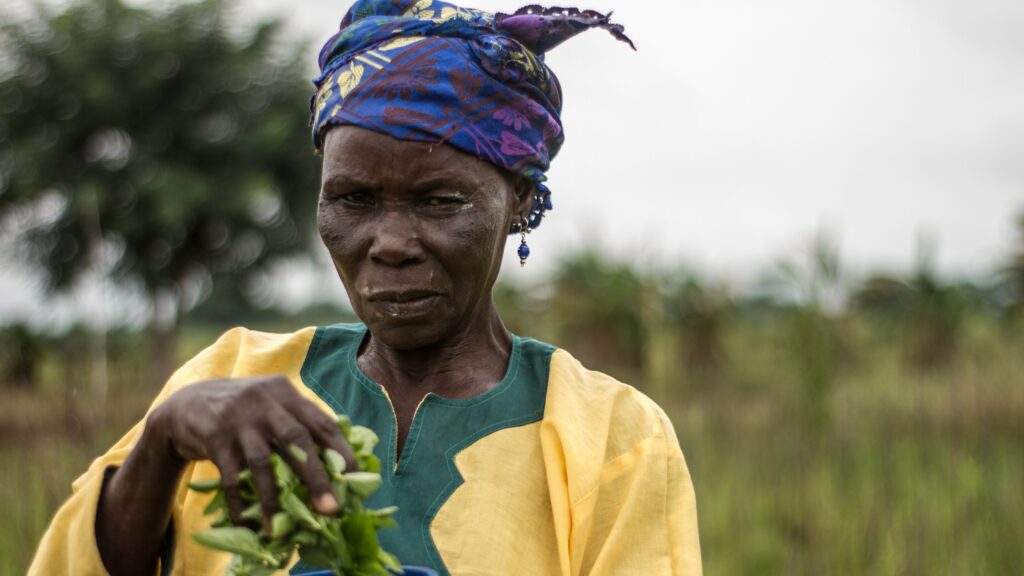 female farmer in Ghana