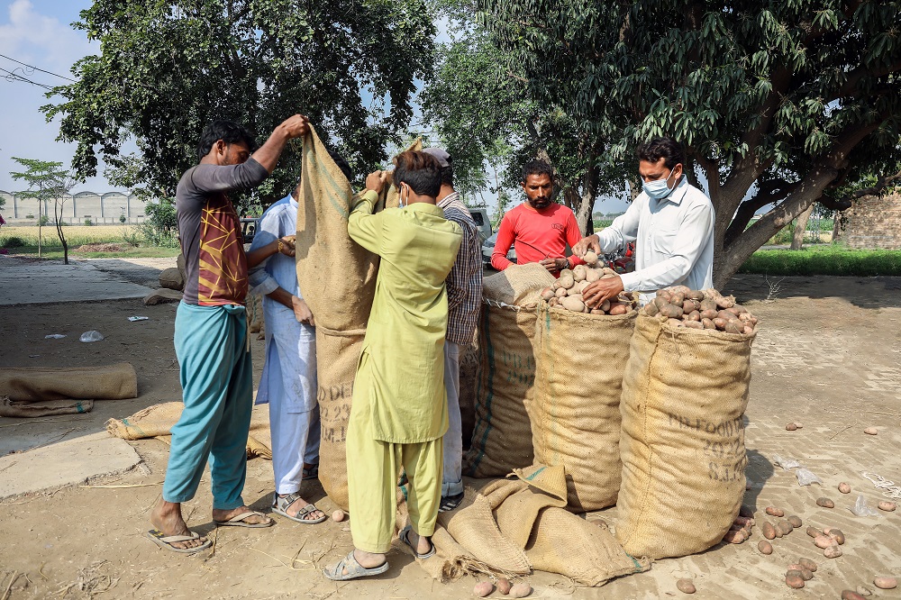 SVVCP project in Punjab Region, Pakistan