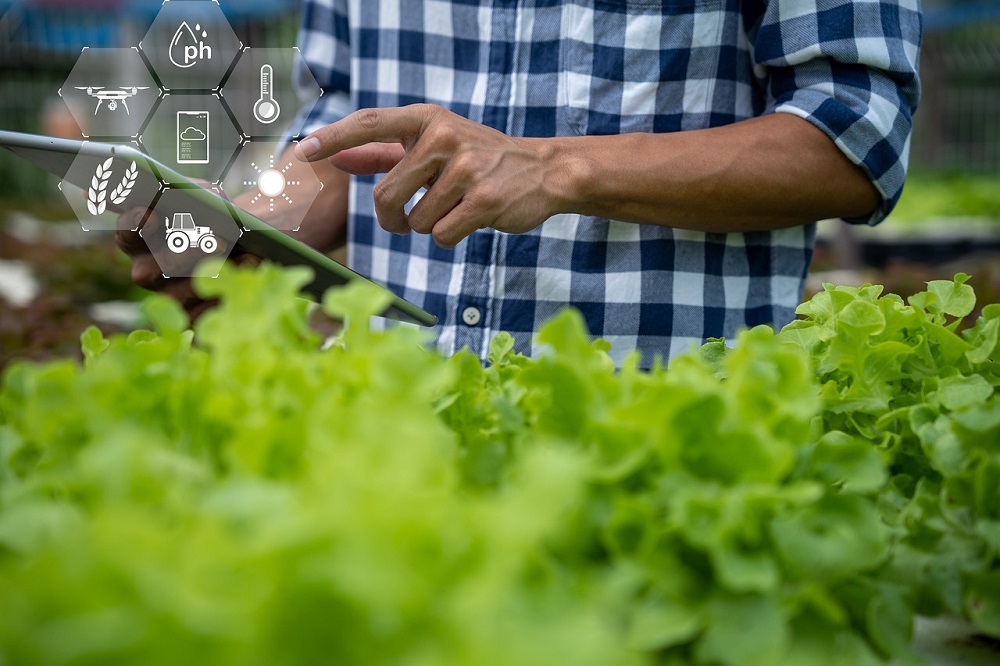 Farmer using AI on his tablet to diagnose crop loss problem