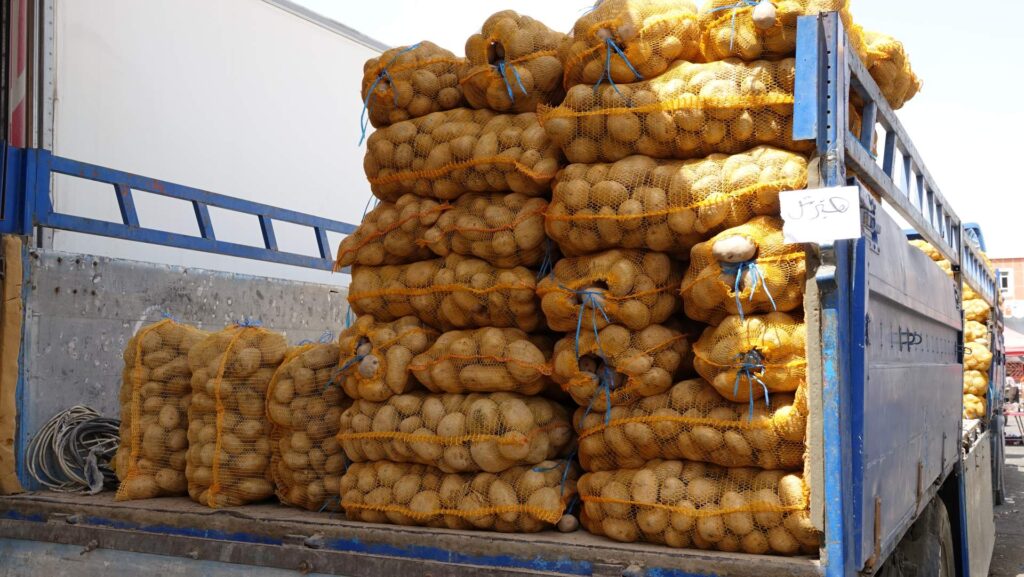 A lorry full of potato sacks in Iraqi Kurdistan, viewed from the rear.