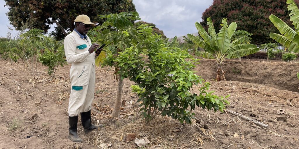 Farmer using tablet_cropped