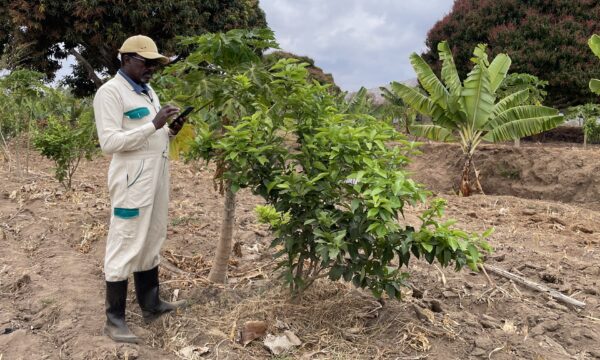 Farmer using tablet_cropped