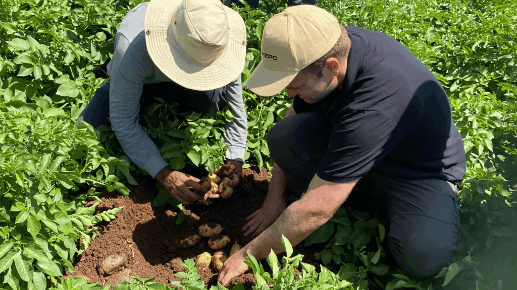 Two men examine potatoes in the Kurdistan Region of Iraq