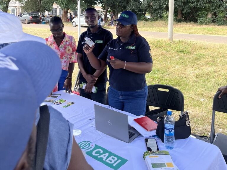 CABI, UNZA and ZARI team presenting at the ZARI field day under a stand sheltered from the sun.