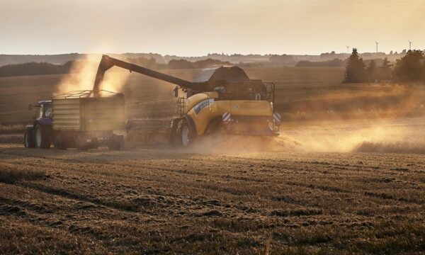 harvest-2698129_1280
