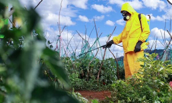 ssp spraying