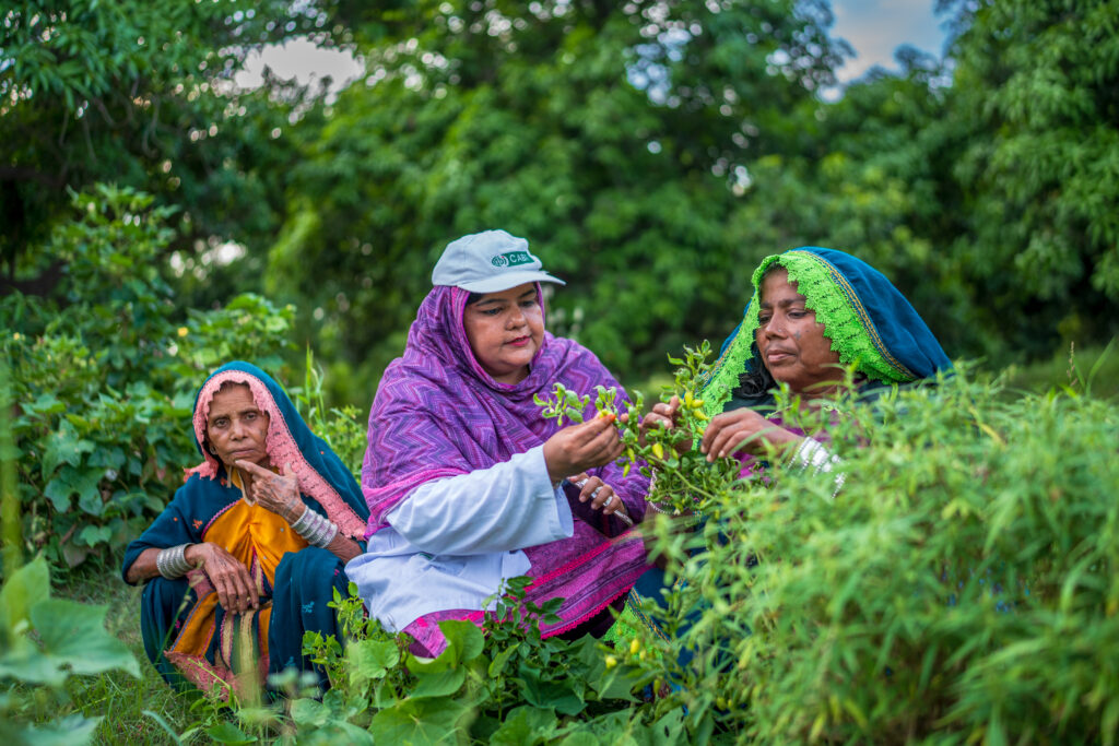Three Pakistani women, two farmers and an extension worker, who are empowering themselves and other women in agrifood systems