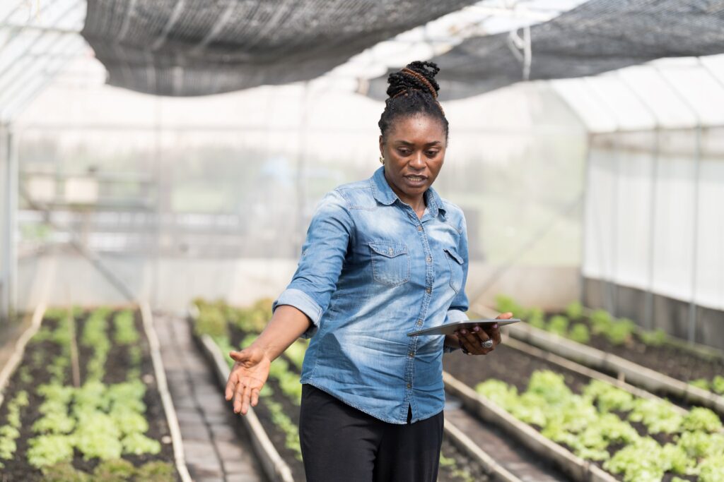 African botanists surveys her plants in a large greenhouse.