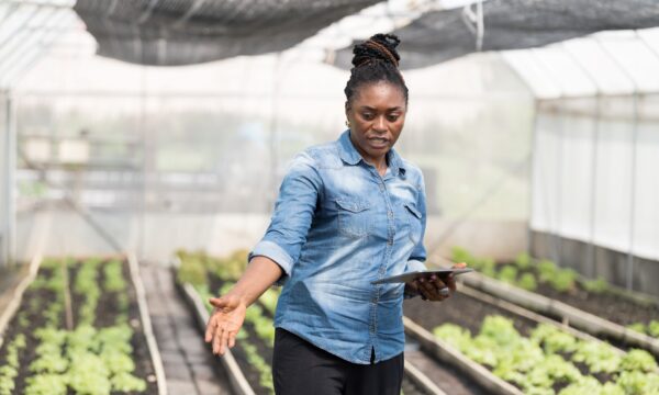 African botanists surveys her plants in a large greenhouse.