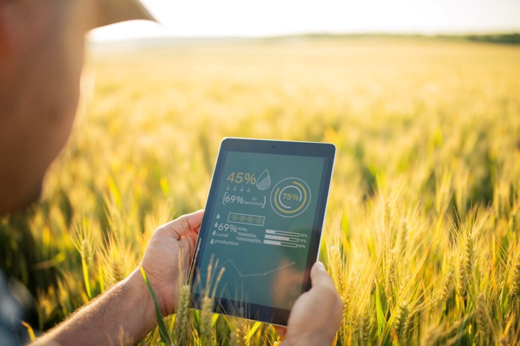 Male farmer is using digital tablet with app for quality control and growth condition on wheat agriculture fields.