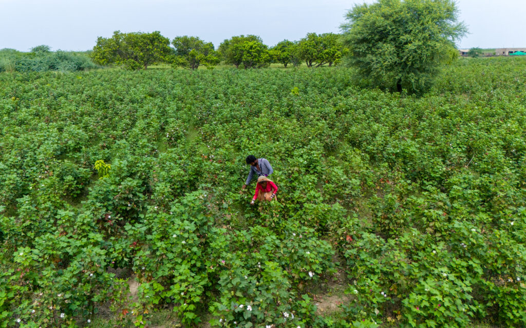 Pakistan landscape with two farmers tending to their crops