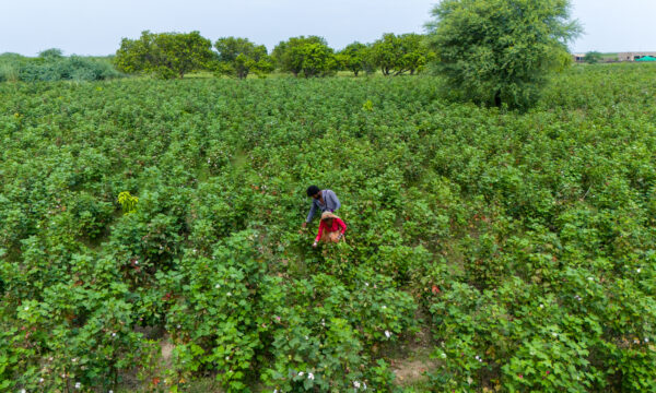 Pakistan landscape with two farmers tending to their crops