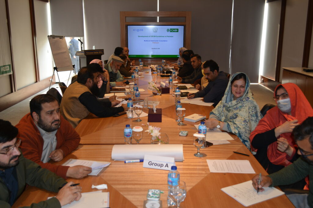 Pakistan OECM in discussion at consultations