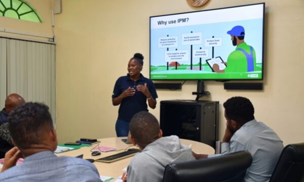 CABI scientist delivering a training session on IPM approaches to a group of participants.