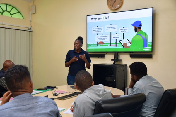 CABI scientist delivering a training session on IPM approaches to a group of participants.