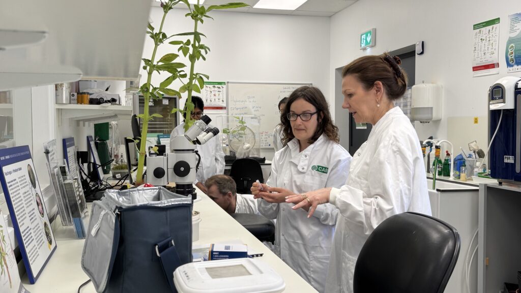 Baroness Sue Hayman engages with CABI scientists during a tour of CABI’s UK research facilities at Imperial College London’s Silwood Park Campus in Ascot.