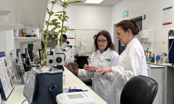 Baroness Sue Hayman engages with CABI scientists during a tour of CABI’s UK research facilities at Imperial College London’s Silwood Park Campus in Ascot.