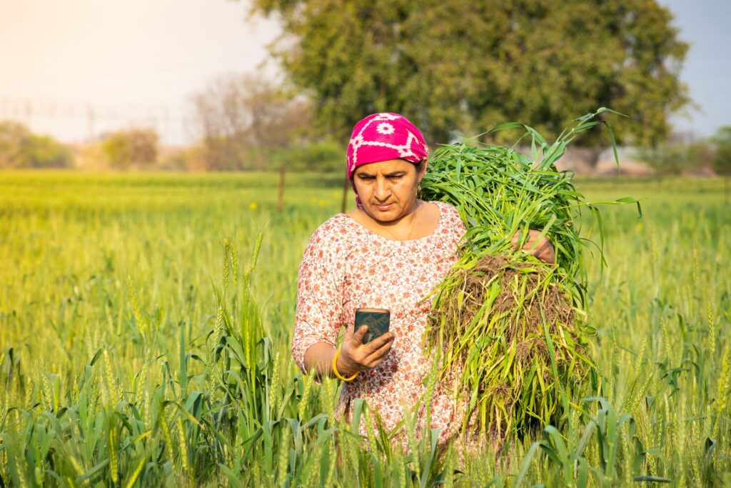 Rural woman farmer in India using mobile phone while holding a sileage crop.