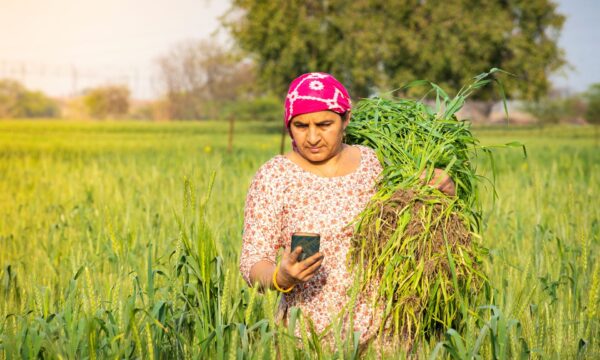 Rural woman farmer in India using mobile phone while holding a sileage crop.