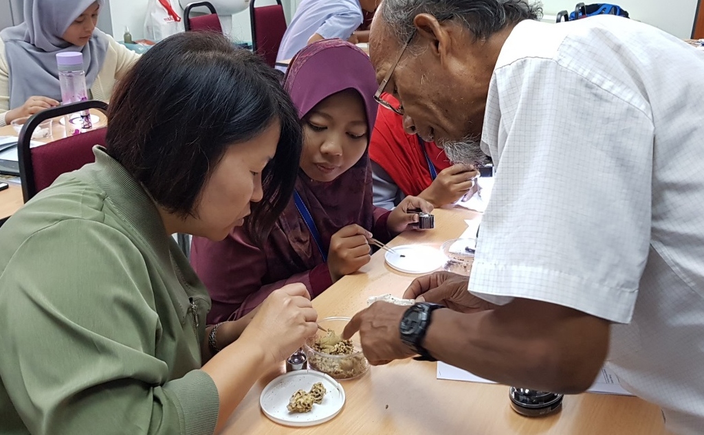 Sustainable agriculture in Southeast Asia: plant health professionals examining specimens