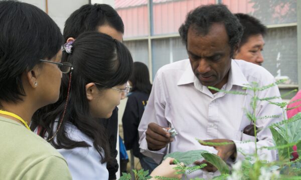 Sustainable agriculture training in Southeast Asia: practical pest identification